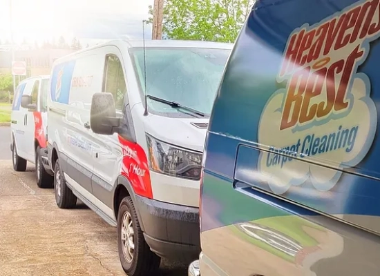 Eco-friendly carpet & upholstery cleaning