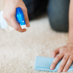 How to Get Musty Smell Out of Carpet