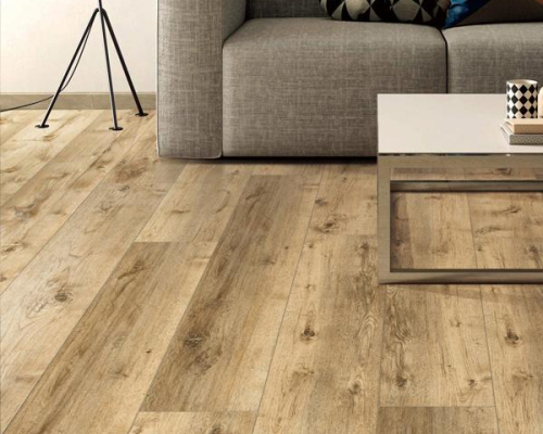 professional vinyl floor cleaning