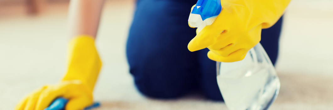 Professional Carpet Cleaning vs DIY