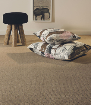 Quick, Easy, Affordable. Not what most expect with carpet cleaning.