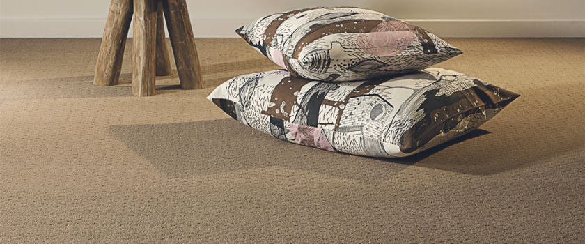 Quick, Easy, Affordable. Not what most expect with carpet cleaning.