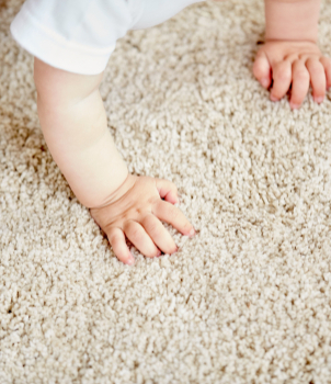 Residential Carpet Cleaning Home Prep