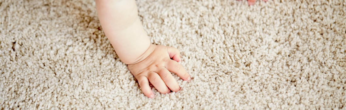 Residential Carpet Cleaning Home Prep