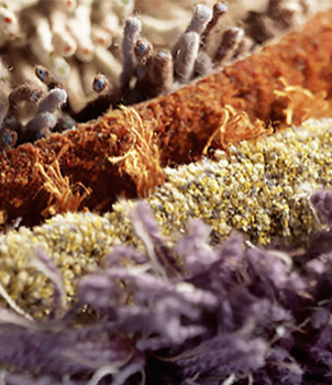 Low Moisture Carpet Cleaning