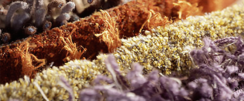 Carpet Fiber 101