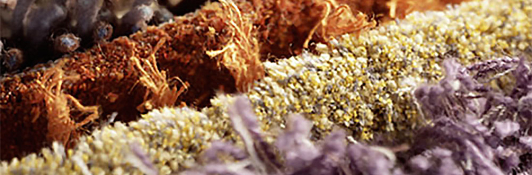 Low Moisture Carpet Cleaning