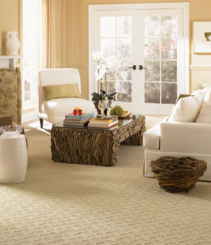 The Carpet Cleaning Process