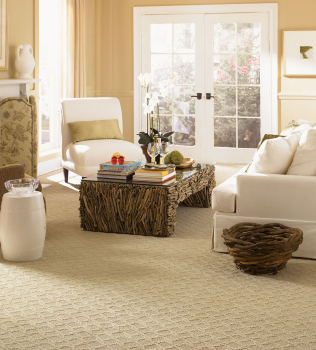 The Carpet Cleaning Process