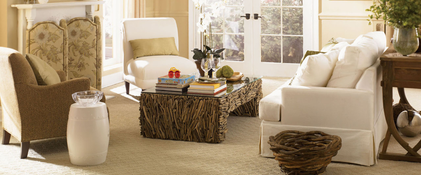 Professional Certified Cleaning Tecnicians