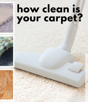 Cleaning and the Different Layers of Carpeting