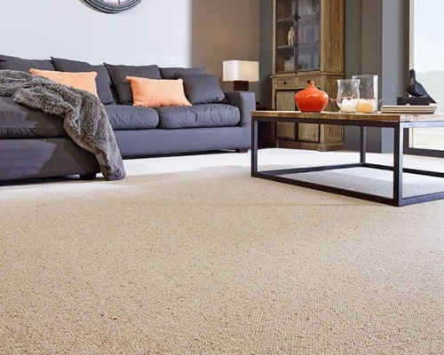 Professional, eco-friendly carpet cleaning. Dry in 1 hour