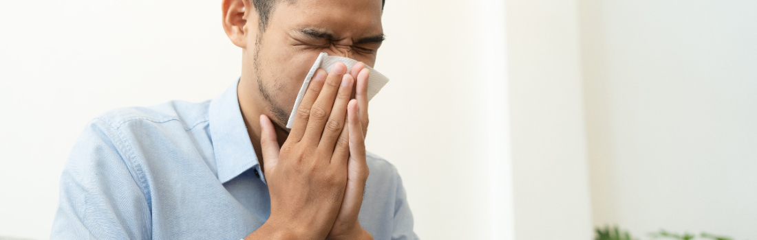 How to Remove Allergens From Carpet