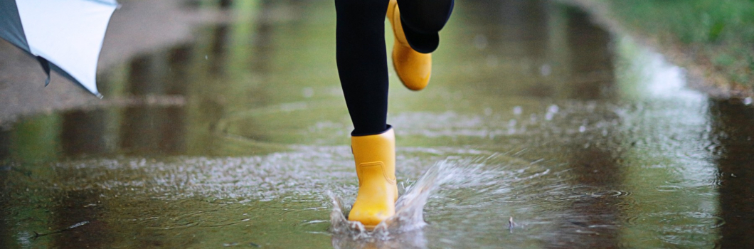 Keeping Carpets Clean in the fall