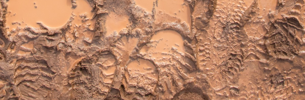 Muddy Footprints on Carpet