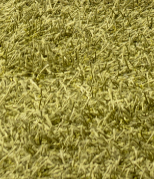 Old Carpet Health Hazards