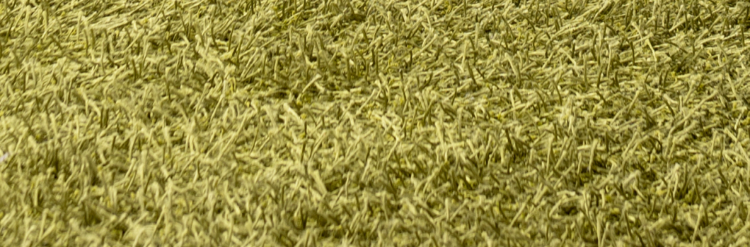 Old Carpet Health Hazards