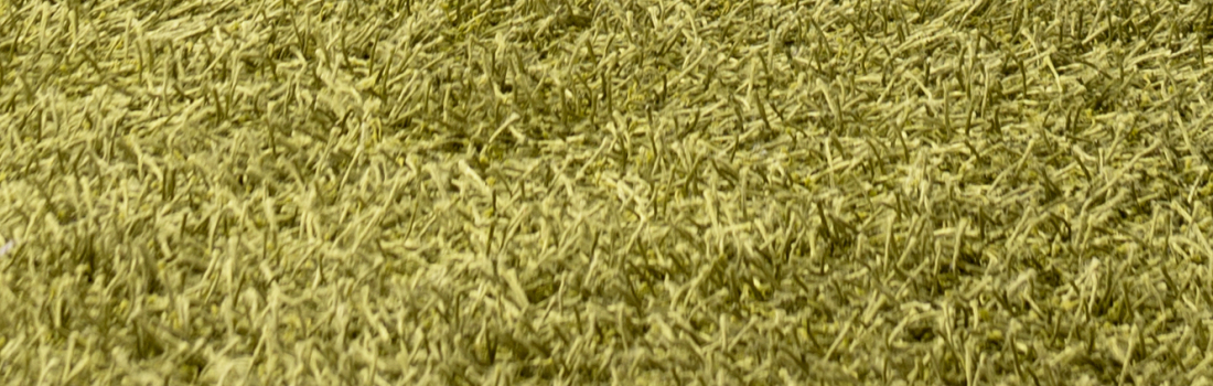 Old Carpet Health Hazards