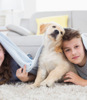 How to Remove Pet Odors and Stains