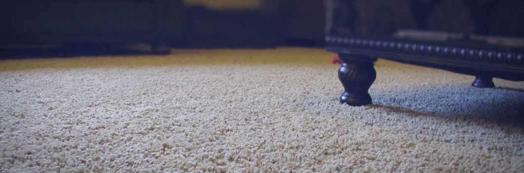 What to Do Before the Carpet Cleaners Arrive