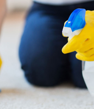How to Spot Clean a Carpet