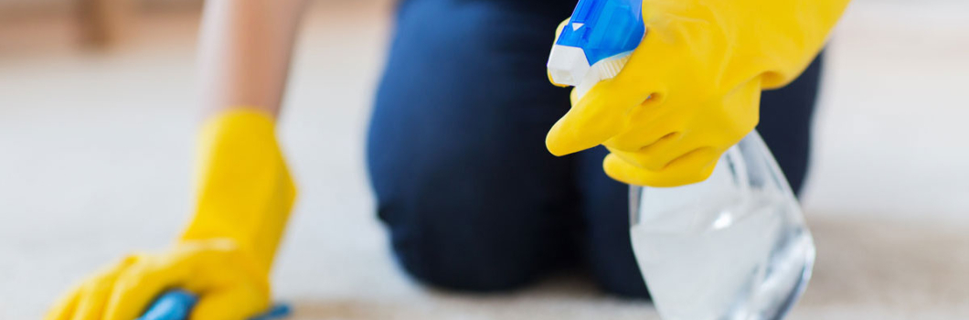 Carpet Spot Cleaners