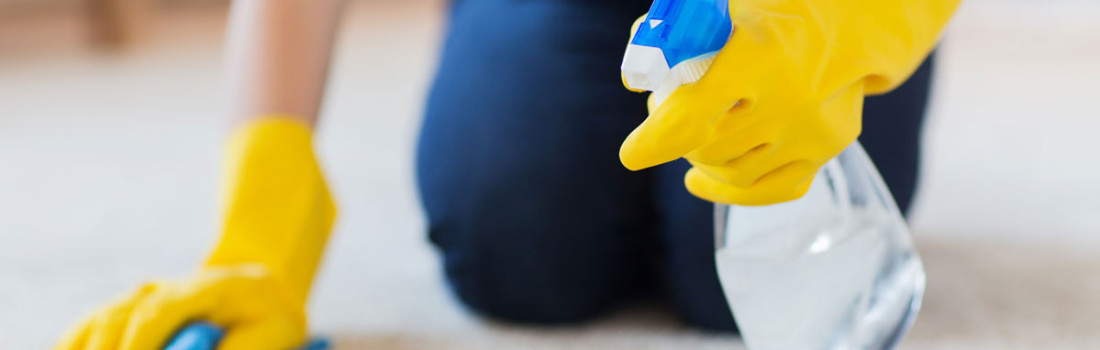 How to Spot Clean a Carpet