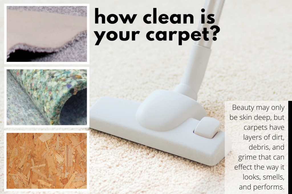 Cleaning the Different Layers of Carpeting Heaven's Best