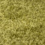 Old green shag carpeting to illustrate old carpet health hazards
