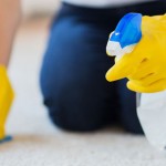 A woman spot cleans a carpet with rag and water from a spray bottle.